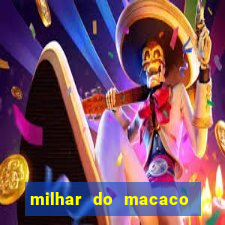 milhar do macaco que mais saem no jogo do bicho