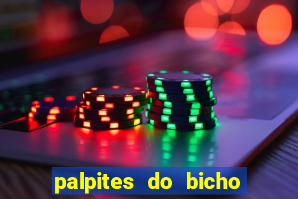 palpites do bicho no celular