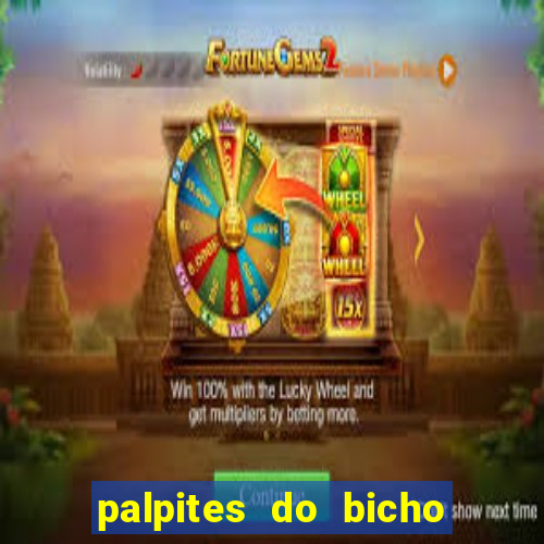 palpites do bicho no celular