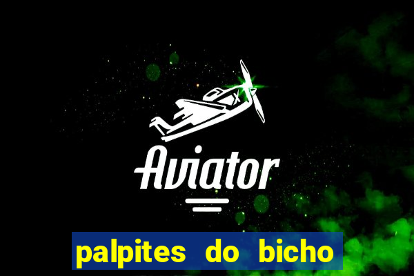 palpites do bicho no celular