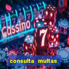 consulta multas detran mg