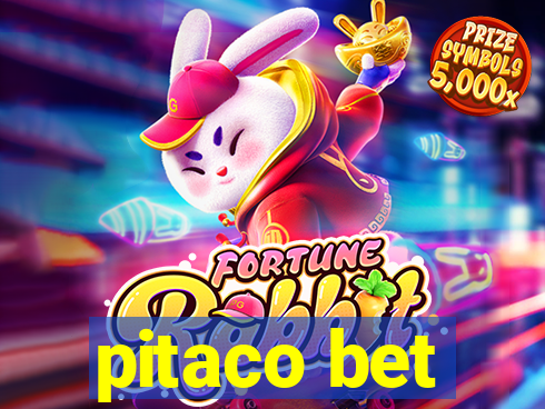 pitaco bet