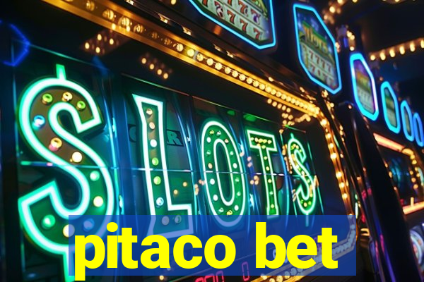 pitaco bet