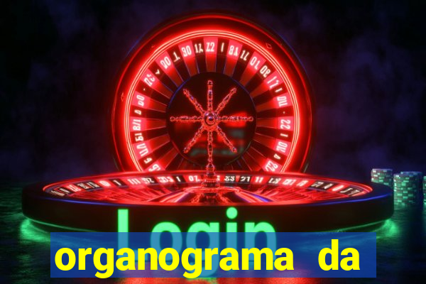 organograma da cacau show