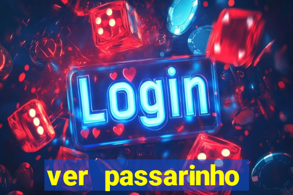 ver passarinho morto significado