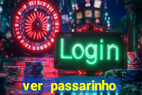 ver passarinho morto significado