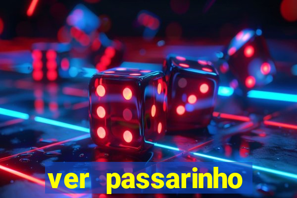 ver passarinho morto significado