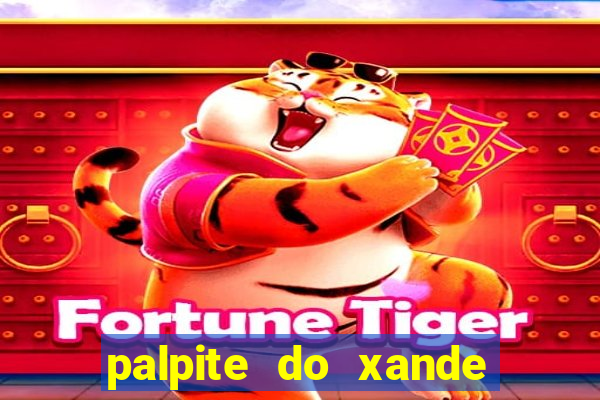 palpite do xande de hoje