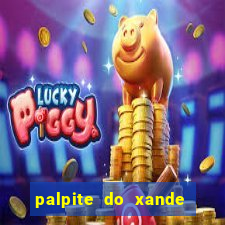 palpite do xande de hoje