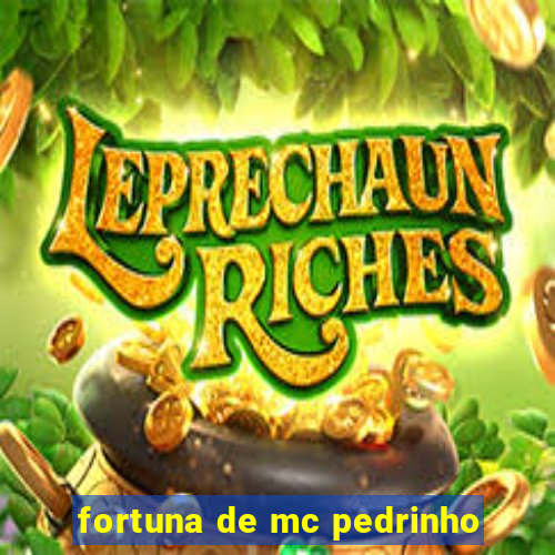 fortuna de mc pedrinho