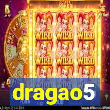 dragao5