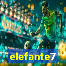 elefante7