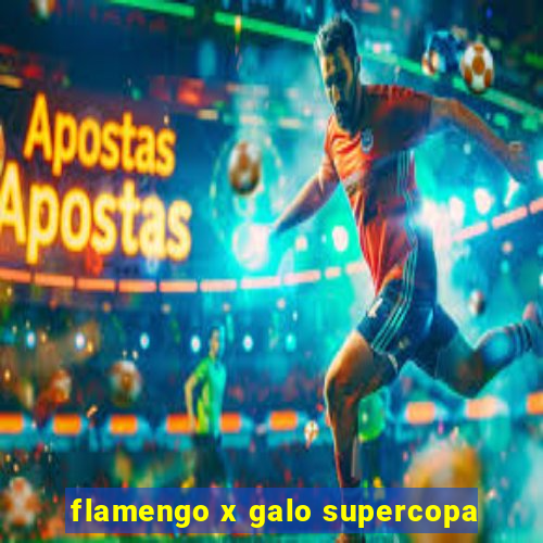 flamengo x galo supercopa