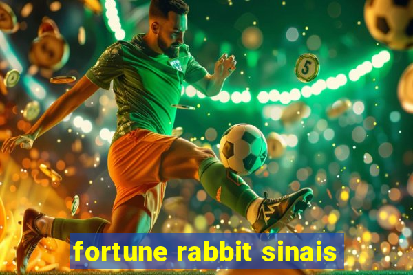 fortune rabbit sinais