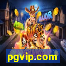 pgvip.com