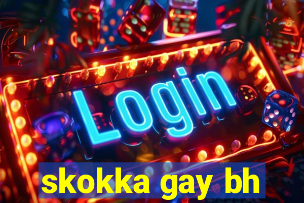 skokka gay bh