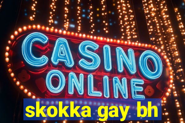 skokka gay bh