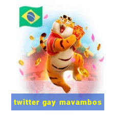 twitter gay mavambos