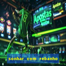 sonhar com rebanho de gado jogo do bicho