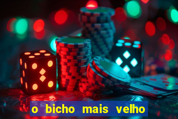 o bicho mais velho da loteria dos sonhos