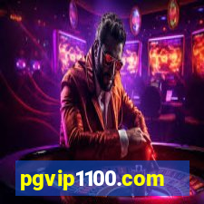 pgvip1100.com