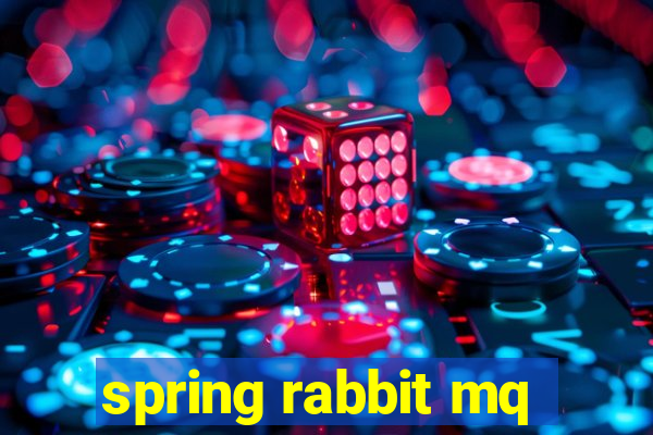 spring rabbit mq