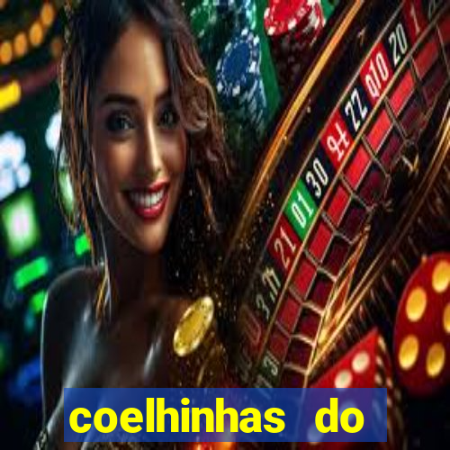 coelhinhas do brasil recife