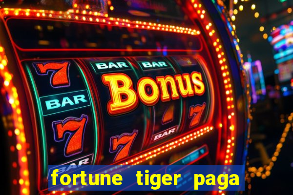 fortune tiger paga de madrugada