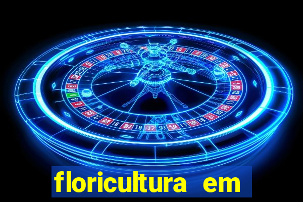 floricultura em lauro de freitas