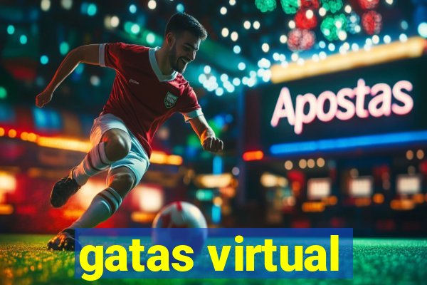 gatas virtual