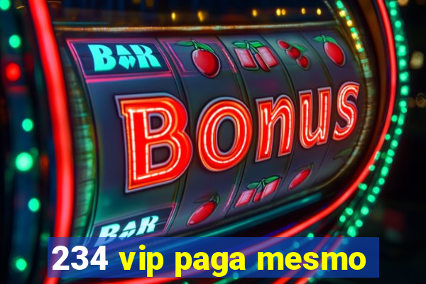 234 vip paga mesmo