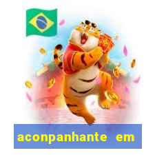 aconpanhante em porto alegre