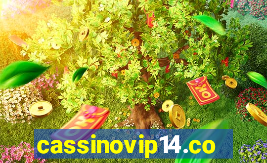 cassinovip14.com