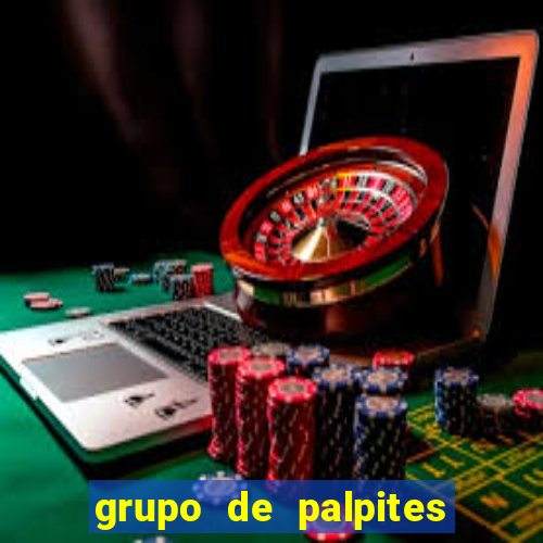 grupo de palpites de futebol whatsapp