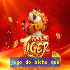 jogo do bicho que paga no pix