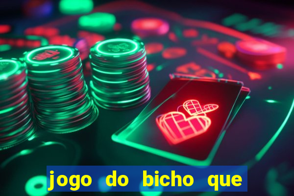 jogo do bicho que paga no pix