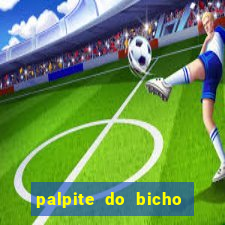 palpite do bicho deu no poste