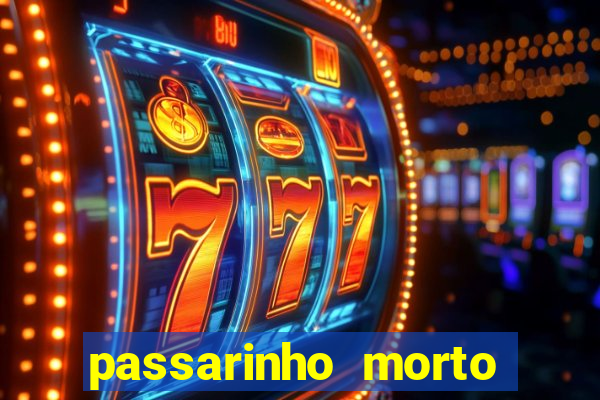 passarinho morto significado espiritual