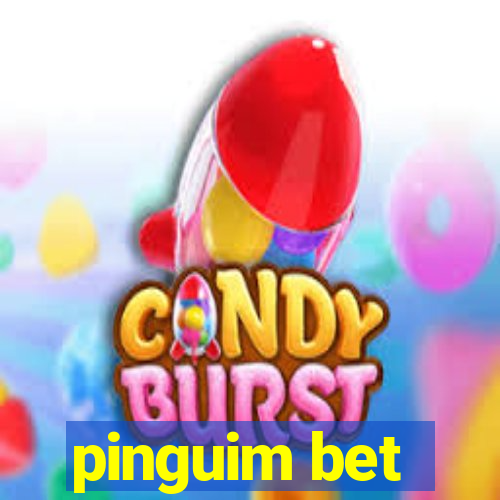 pinguim bet