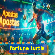 fortune turtle