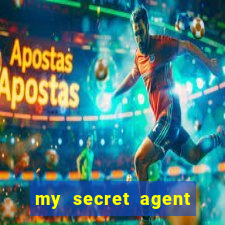 my secret agent husband legendado