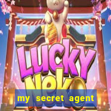 my secret agent husband legendado