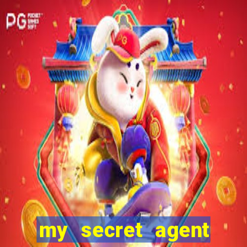 my secret agent husband legendado