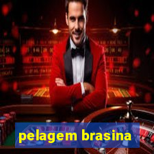 pelagem brasina