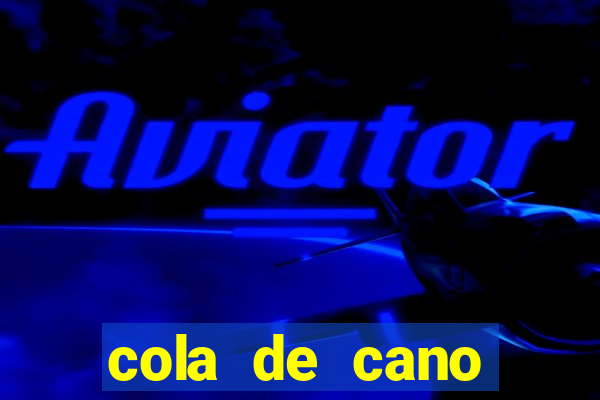 cola de cano quanto tempo para secar