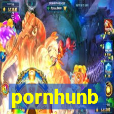 pornhunb