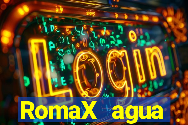 RomaX agua sanitaria fispq agua sanitaria romax