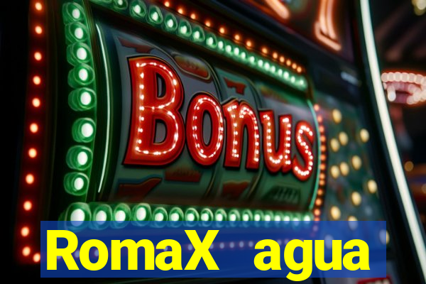 RomaX agua sanitaria fispq agua sanitaria romax