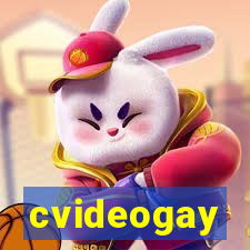 cvideogay