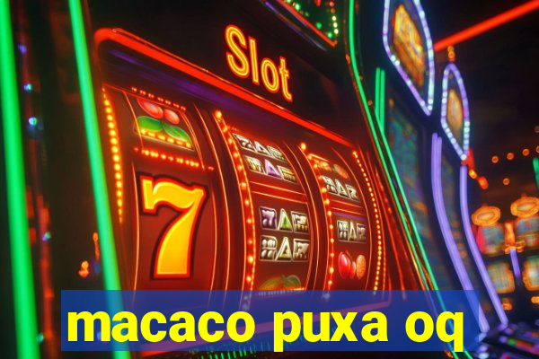 macaco puxa oq